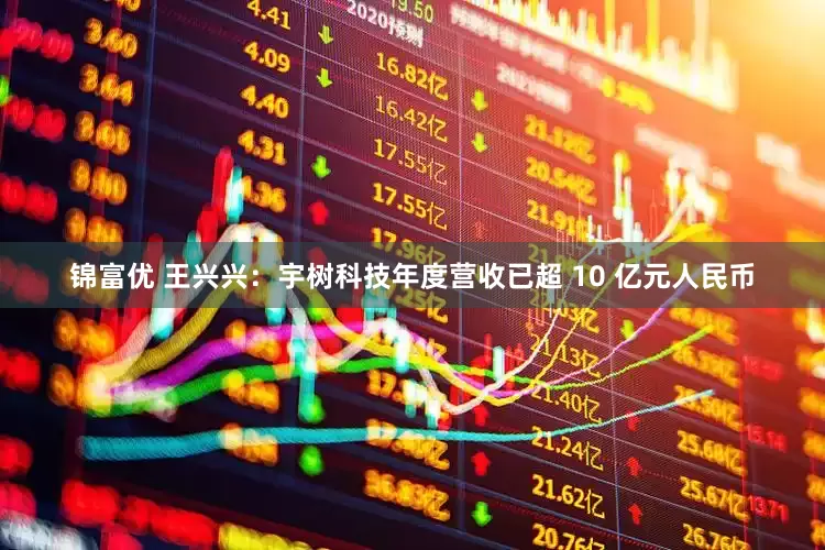 锦富优 王兴兴：宇树科技年度营收已超 10 亿元人民币
