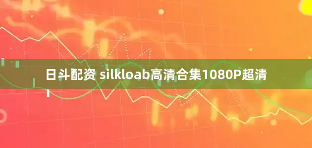 日斗配资 silkloab高清合集1080P超清